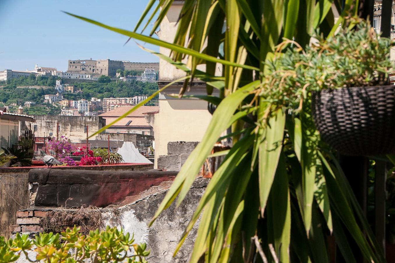 La Terrazza ai Miracoli Bed and Breakfast Napoli Esterno foto